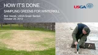 How Its Done Sampling Greens for Winterkill [upl. by Deloris]