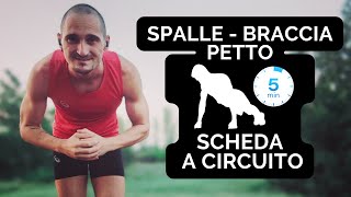 Scheda workout SPALLE  BRACCIA  PETTO a corpo libero [upl. by Thane390]