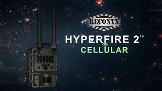 HyperFire 2 Cellular Camera [upl. by Edora]