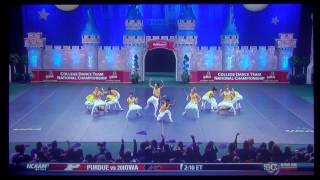 UDA College Dance Team National Championship Hip Hop 2014 LSU Tiger Girls [upl. by Dehlia]