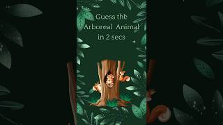 Guess the Arboreal Animal in 2 seconds wildlifequiz shorts animalfacts [upl. by Jopa]