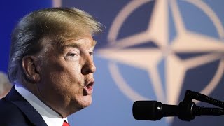 phoenixRunde Trumps Drohung  Kann sich die NATO noch auf die USA verlassen [upl. by Ynohtnael528]