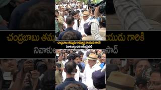 rajendraprasad Visuals At chandrababu Brother House nararohit naralokesh shorts ytshorts [upl. by Rimas486]