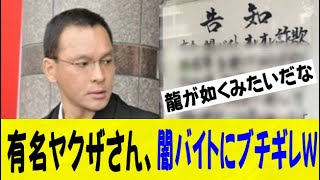 有名ヤクザさん､闇バイトにブチギレｗｗｗｗｗｗｗネットの反応なんj2ch5ch反応集スレまとめゆっくり [upl. by Nepean239]