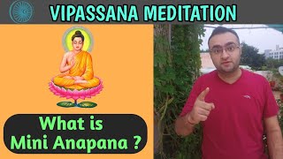 Mini Anapana  Vipassana Meditation Experience In Hindi  10 Days Vipassana Meditation Experience [upl. by Arbuckle437]