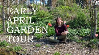 Early April Garden Tour [upl. by Gorden147]