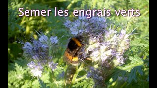 Semer les engrais verts  Les 4 Saisons du jardin bio [upl. by Yrevi]