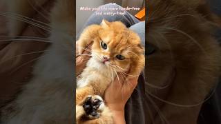 Make your life more hasslefree and worryfree magicscoop smartlitterbox catlover cat [upl. by Adihahs]