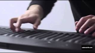 THE SEABOARD LE CLAVIER DE DEMAIN [upl. by Killy]