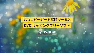 DVDコピーガード解除ツールと DVD リッピングフリーソフト [upl. by Caritta]