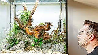 How to Aquascape a Nature Aquarium with Pete Part 2 of 3 [upl. by Dyrrej]