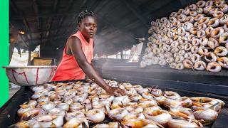 Eating in Africas WILDEST Fish Market Seafood Factory [upl. by Reppep]