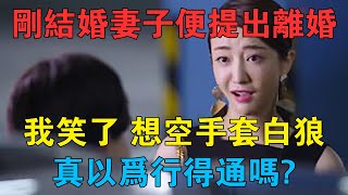 剛結婚妻子便提出離婚，我笑了，想空手套白狼，真以為行得通嗎？ 情感故事 兩性情感 深夜故事 [upl. by Ateiluj448]