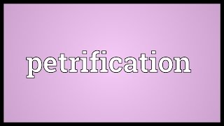 Petrification Meaning [upl. by Abdul774]