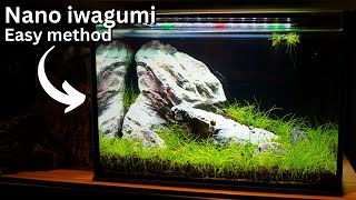 Beginner Iwagumi Nano tank Step by step dry start tutorial for small shrimp setup [upl. by Gula979]