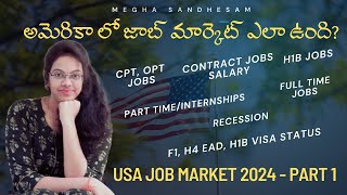 US Job Market Explained 2024   Job Types  Recession  Telugu  Part  1  Dollar Dreams [upl. by Maurer]