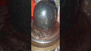 Jinke ghar mein Shankar ji ka shivling hai yah video jarur dekhenhar har mahadevshortvideo [upl. by Anas23]