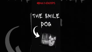 Smile Dog The Image You Should Never See [upl. by End]