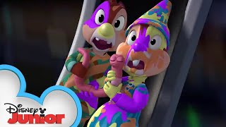 Trees A Crowd  Chip N Dales Nutty Tales  Disney Junior [upl. by Oiromed]