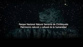 PNN Serranía de Chiribiquete Patrimonio natural y cultural de la humanidad de la Unesco [upl. by Bruyn]