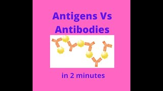 Antigens vs Antibodies in under 2 mins [upl. by Salb]