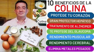 10 beneficios de la❤️ COLINA❤️ trata el ALZHEIMER👏 y PÁRKINSON👍 GLAUCOMA👍 CORAZÓN💖 HÍGADO GRASO🙏 [upl. by Ralat]