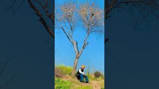 Dil Jeha Nahi Manda Song By Gulab Sidhu Punjabi Song shortvideo viralvideo ytshorts trending [upl. by Dicks594]