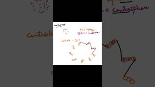 Centriole diagram explained neetbiology apbiology exam [upl. by Sandell]