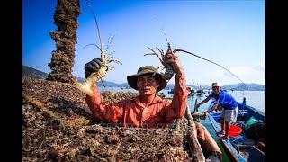 Lobster farming in Vietnams sea [upl. by Shaughn]