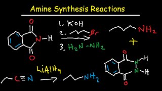 Amine Synthesis Reactions Organic Chemistry  Summary amp Practice Problems [upl. by Sascha]