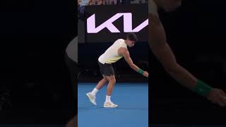 When playing tennis in Australia expect intruders 👀🕷️ AustralianOpen CarlosAlcaraz [upl. by Anuahsed]