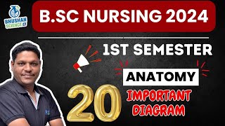 Anatomy का सभी Important Diagrams  इससे बाहर Exam में नहीं आएगा  BSc Nursing 1st SEM 2024 [upl. by Araed]