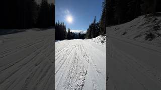 Pista di rientro ai parcheggi di Maranza gitschberg riopusteria skiing [upl. by Melodee]