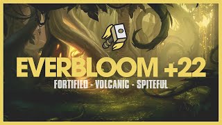 Retribution Paladin  Everbloom Mythic 22 Fortified  Dragonflight 102 [upl. by Saxon]