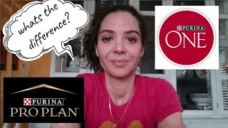 Dog food review Purina One vs Purina Pro Plan What is the difference between the brands [upl. by Ehtyaf]