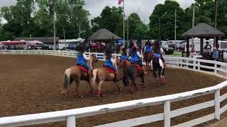 2018 Crimson Acres Glory Riders 1st Place Theme Drill at NKHN Drill Team Competition [upl. by Skiba381]