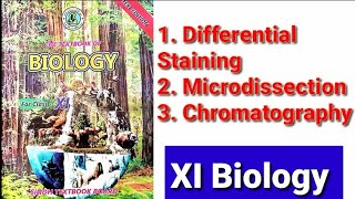 Differential Staining Microdissection Chromatography [upl. by Esidnac]