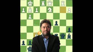 Hikaru Nakamura Brilliancy ✨🤫 [upl. by Dohsar]