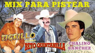 El Tigrillo Palma y Beto Quintanilla Chalino Sanchez  Puros Corridos Mix [upl. by Gilmour319]