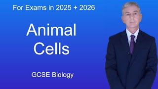 GCSE Biology Revision quotAnimal Cellsquot [upl. by Norda]