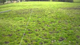 Metal Detecting Green Fields and Silver Coins in Cumbriawmv [upl. by Sparks]