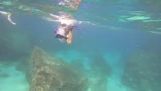 Snorkeling  Waimea Bay [upl. by Ettener]