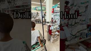 Dollar tree haul dayinmylife [upl. by Lovering]