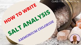 How to write salt analysis Ammonium ChlorideNH₄⁺ Cl Class 11amp12 practicalAmit Gupta [upl. by Calie]