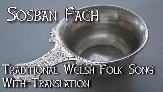 Sosban Fach Traditional Welsh Folk Song with Translation  quotHowls Moving Castlequot [upl. by Tuckie536]