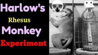 Harlows Rhesus Monkey Experiment  Spot Psychology [upl. by Ornas617]