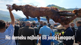 Na Derneku najbolje išli janjci i magarci [upl. by Camilia]