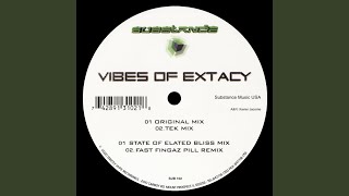 Vibes of Extacy Tek Mix [upl. by Eremihc]