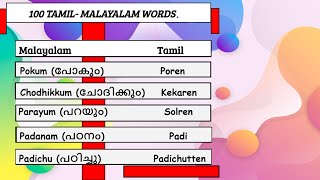 100 Useful Words in Malayalam and Tamil  Learn Malayalam through Tamil [upl. by Sukul]