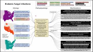 Endemic fungal infections Histoplasmosis ParaCoccidioidomycosis Blasto mechanism of disease [upl. by Diad]